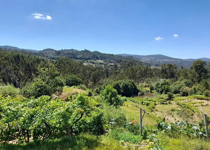 Coliving The Valley Portugal Countryside Retreat For Digital Nomads And Remote Workers