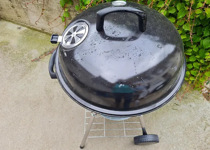 Casa de Campo Coliving The Valley Portugal Countryside Retreat For Digital Nomads And Remote Workers Vale de Cambra